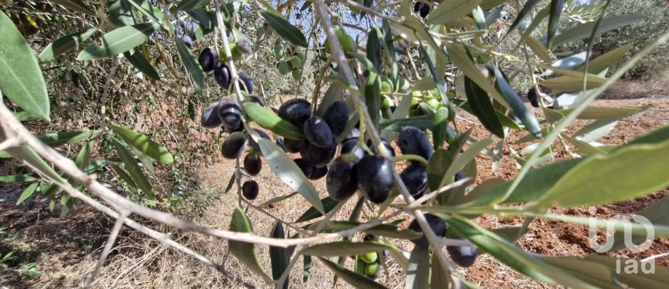 Terreno em Azambujeira e Malaqueijo de 12 080 m²
