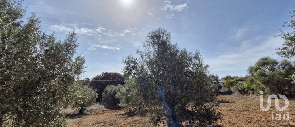 Terreno em Azambujeira e Malaqueijo de 12 080 m²