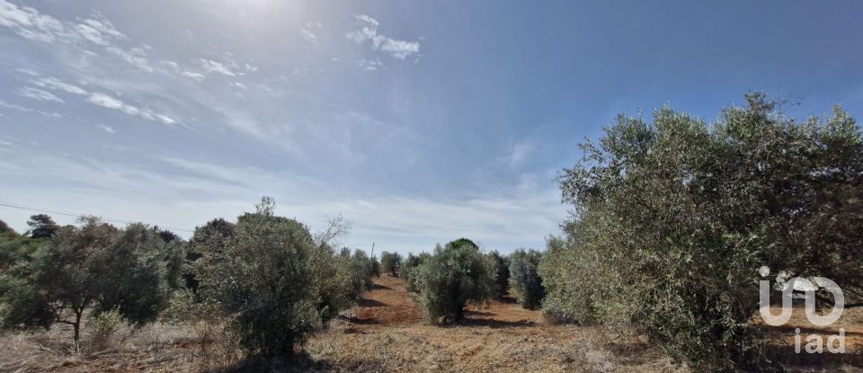 Terreno em Azambujeira e Malaqueijo de 12 080 m²