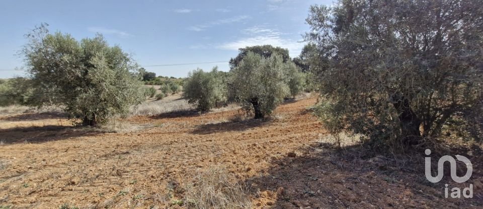 Terreno em Azambujeira e Malaqueijo de 12 080 m²