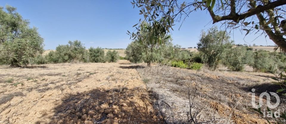 Terreno em Azambujeira e Malaqueijo de 12 080 m²