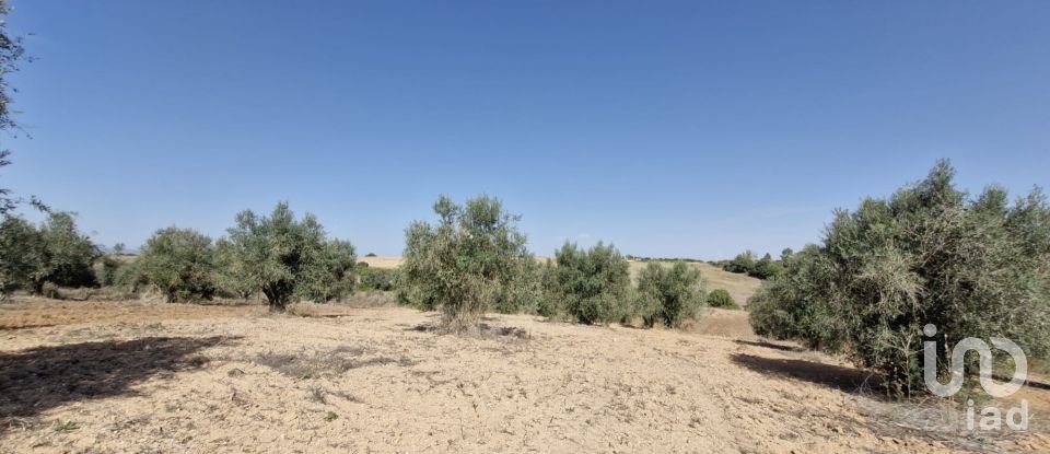 Terreno em Azambujeira e Malaqueijo de 12 080 m²