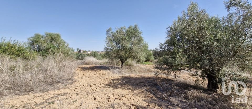 Terreno em Azambujeira e Malaqueijo de 12 080 m²