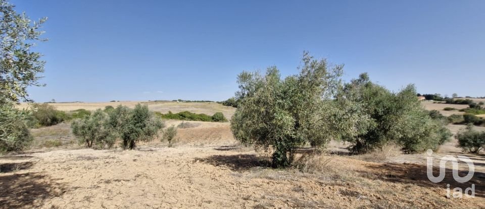 Terreno em Azambujeira e Malaqueijo de 12 080 m²