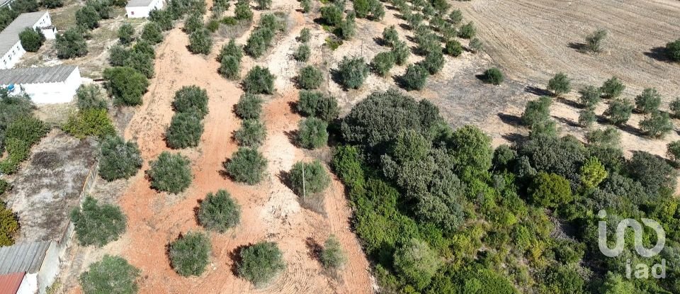 Terreno em Azambujeira e Malaqueijo de 12 080 m²
