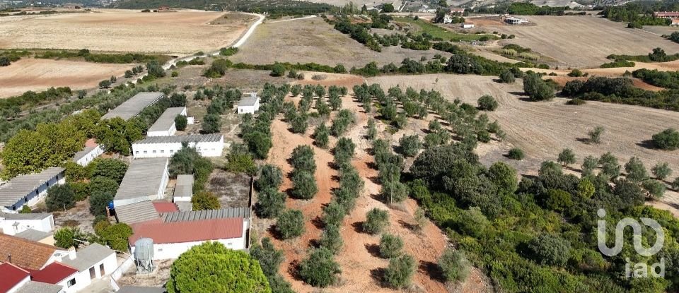 Terreno em Azambujeira e Malaqueijo de 12 080 m²