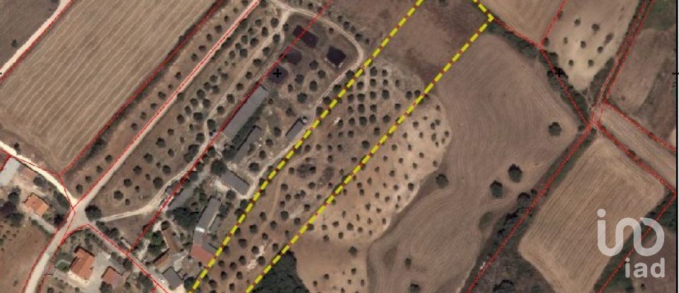 Terreno em Azambujeira e Malaqueijo de 12 080 m²