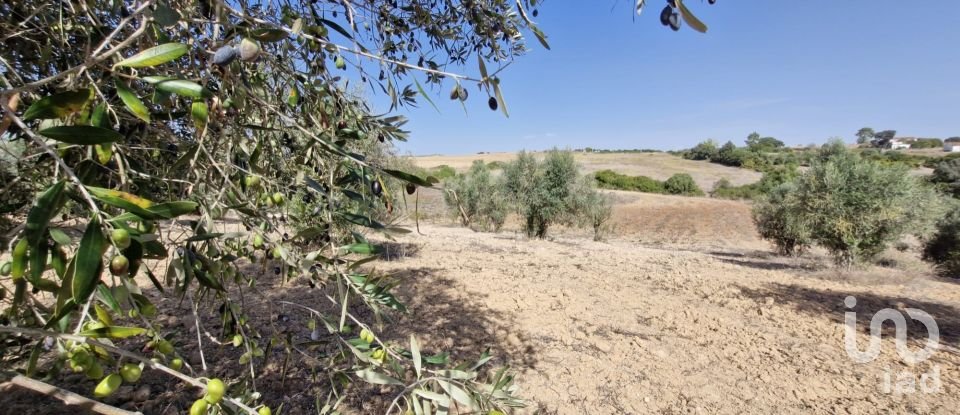 Terreno em Azambujeira e Malaqueijo de 12 080 m²