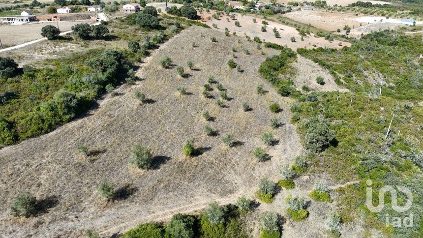 Terreno em Abitureiras de 17 600 m²