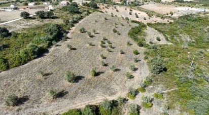 Terrain à Abitureiras de 17 600 m²