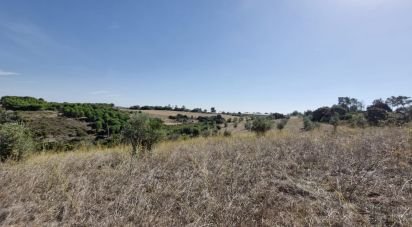 Terrain à Abitureiras de 17 600 m²