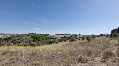 Terrain à Abitureiras de 17 600 m²