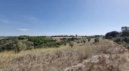 Terrain à Abitureiras de 17 600 m²