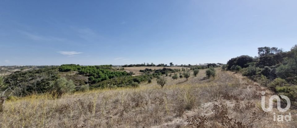 Terreno em Abitureiras de 17 600 m²