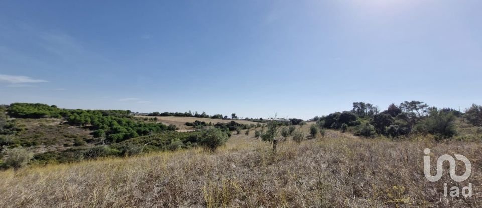 Terreno em Abitureiras de 17 600 m²