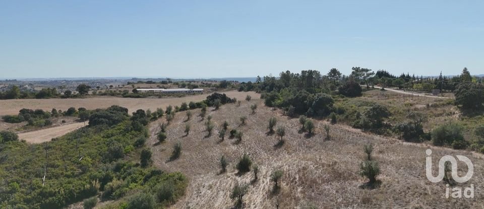 Terreno em Abitureiras de 17 600 m²