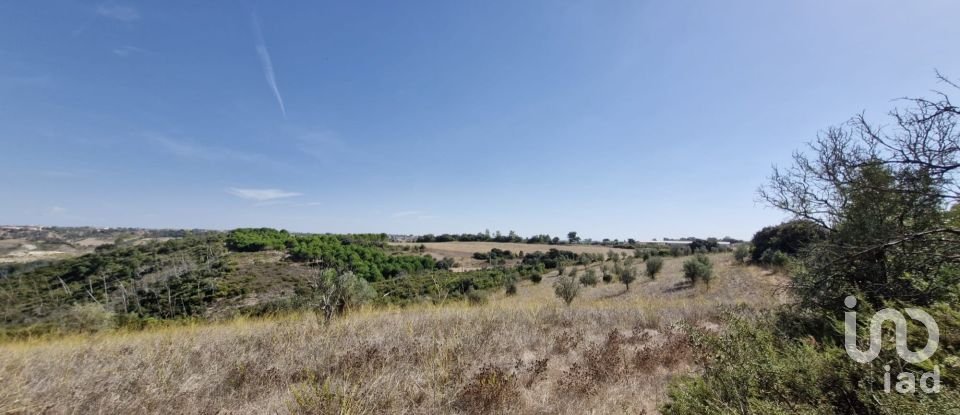 Terreno em Abitureiras de 17 600 m²