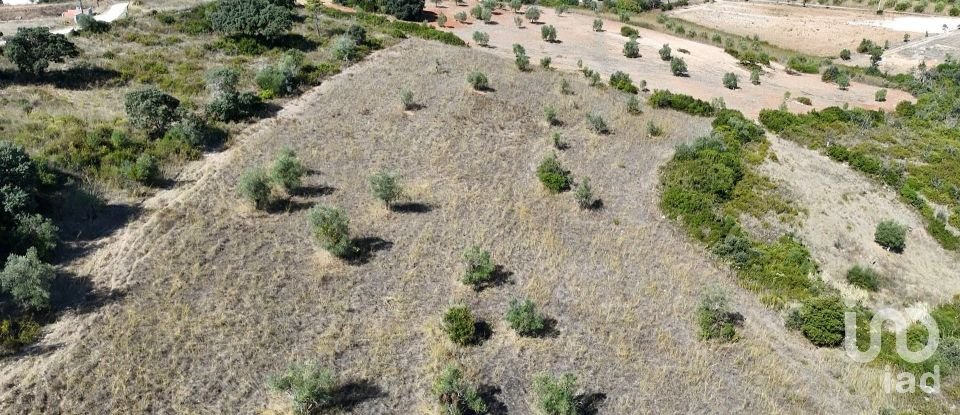 Terreno em Abitureiras de 17 600 m²