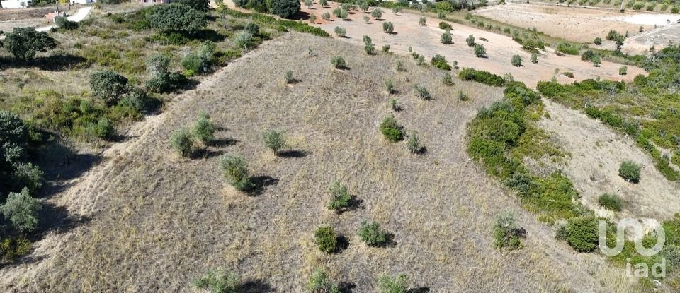 Terreno em Abitureiras de 17 600 m²