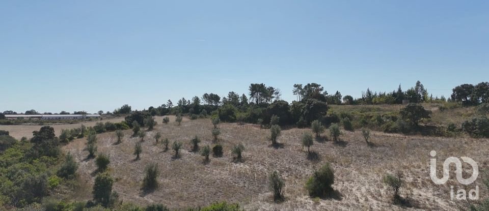 Terreno em Abitureiras de 17 600 m²