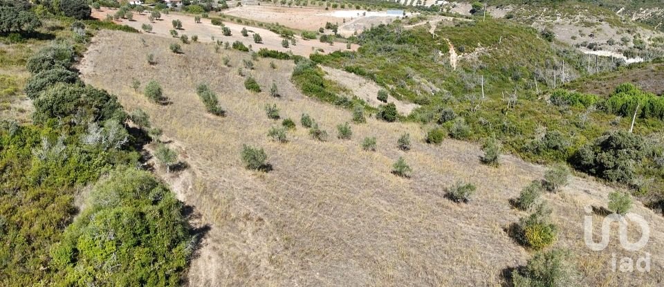 Terreno em Abitureiras de 17 600 m²