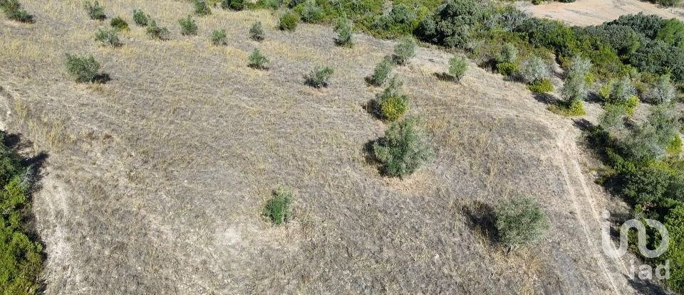Terreno em Abitureiras de 17 600 m²