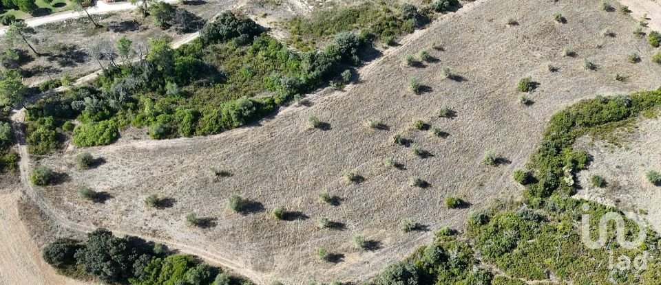 Terreno em Abitureiras de 17 600 m²