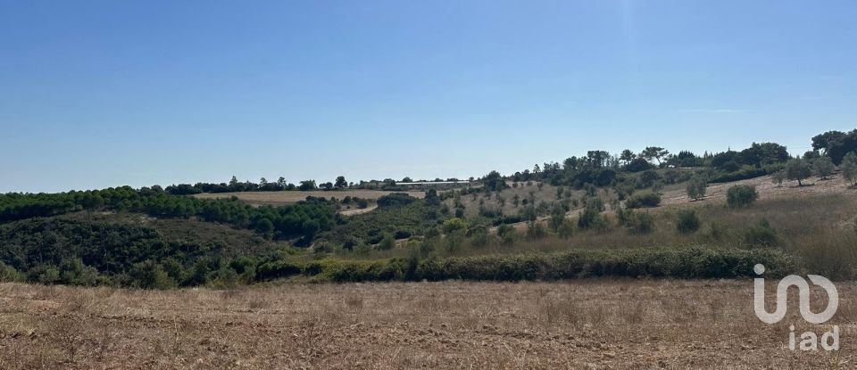 Terreno em Abitureiras de 17 600 m²