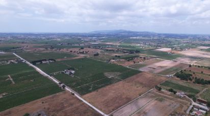 Terrain à Palmela de 30 000 m²