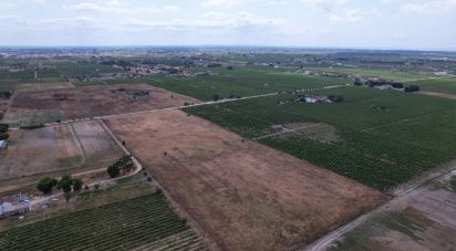 Terrain à Palmela de 30 000 m²