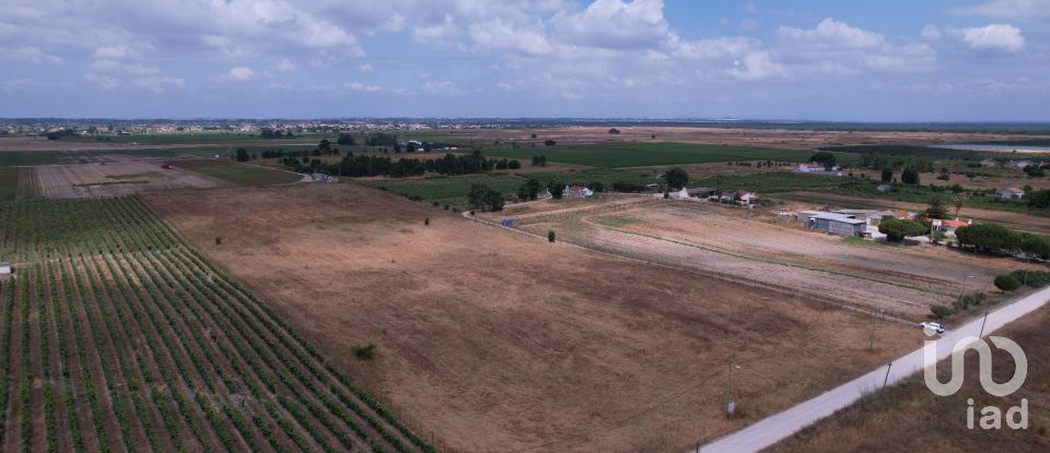 Terreno em Palmela de 30 000 m²