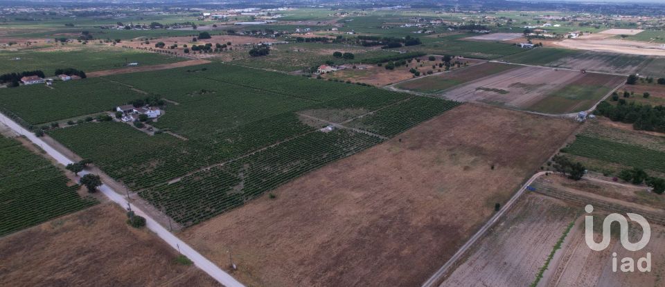 Terreno em Palmela de 30 000 m²