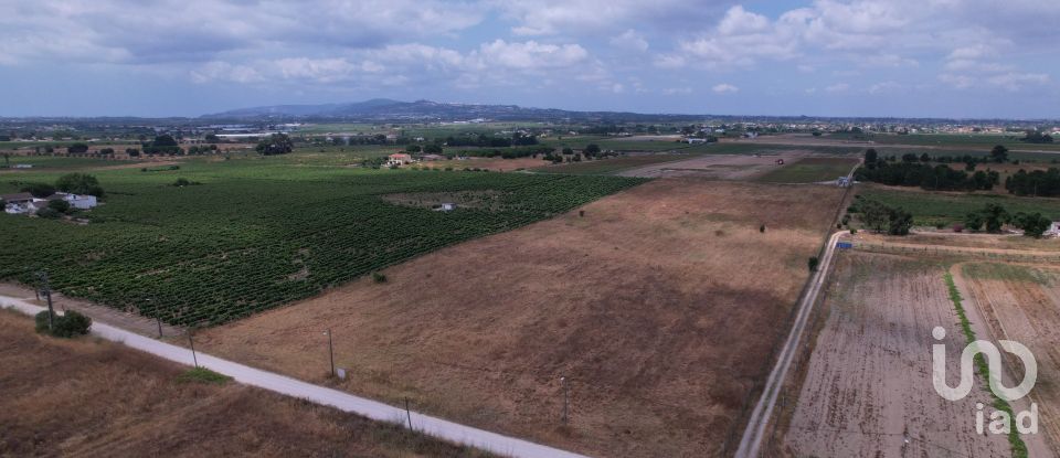 Terreno em Palmela de 30 000 m²