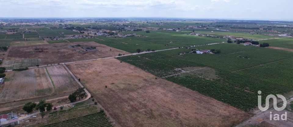 Terreno em Palmela de 30 000 m²