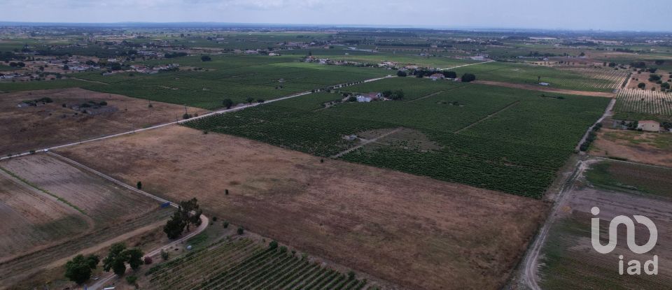 Terreno em Palmela de 30 000 m²