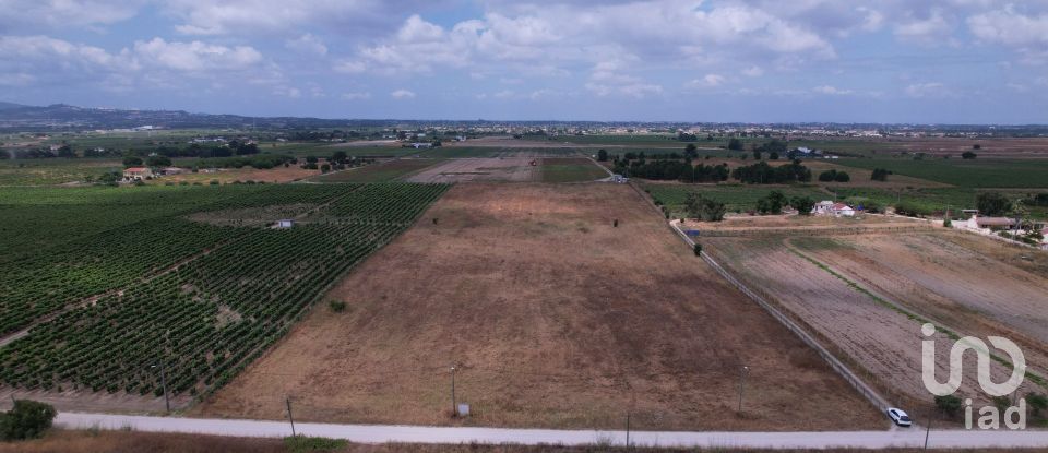 Terreno em Palmela de 30 000 m²
