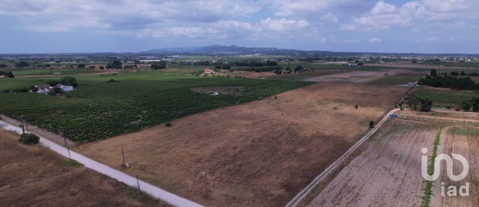 Terreno em Palmela de 30 000 m²