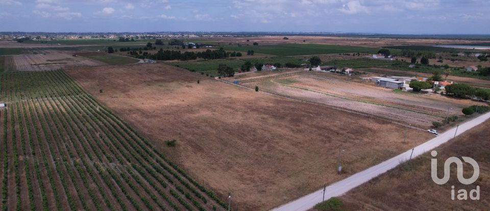 Terreno em Palmela de 30 000 m²