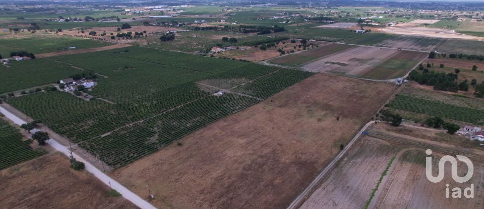 Terreno em Palmela de 30 000 m²