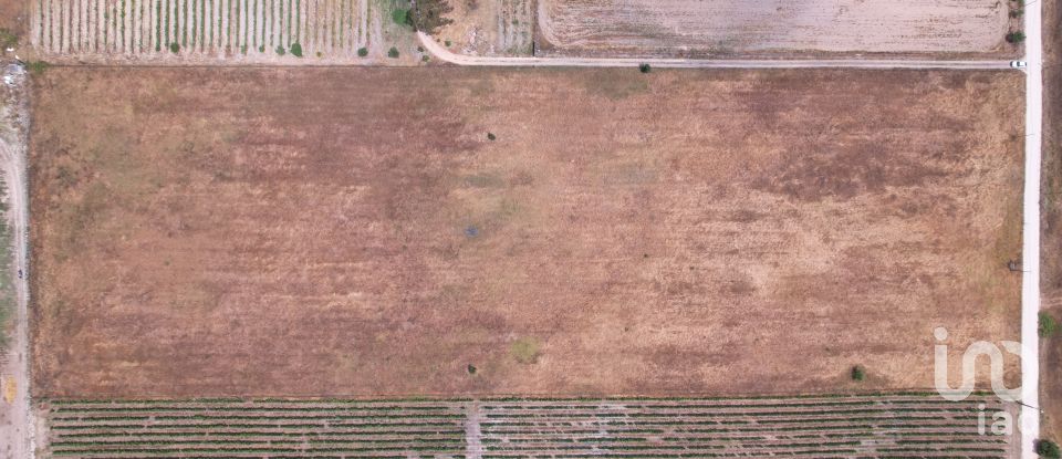 Terreno em Palmela de 30 000 m²