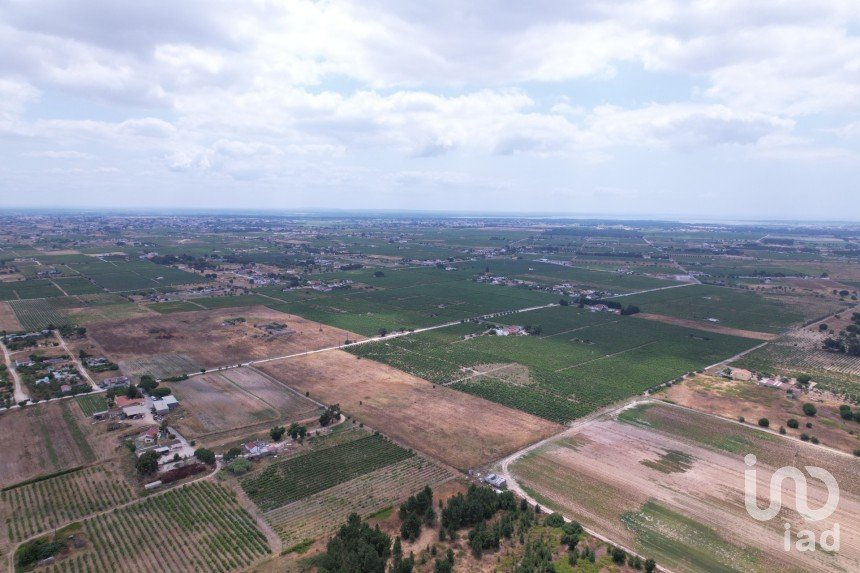 Terreno em Palmela de 30 000 m²