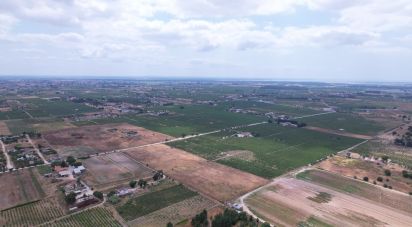 Terrain à Palmela de 30 000 m²