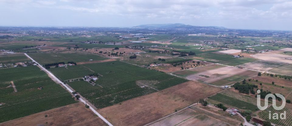 Terreno em Palmela de 30 000 m²