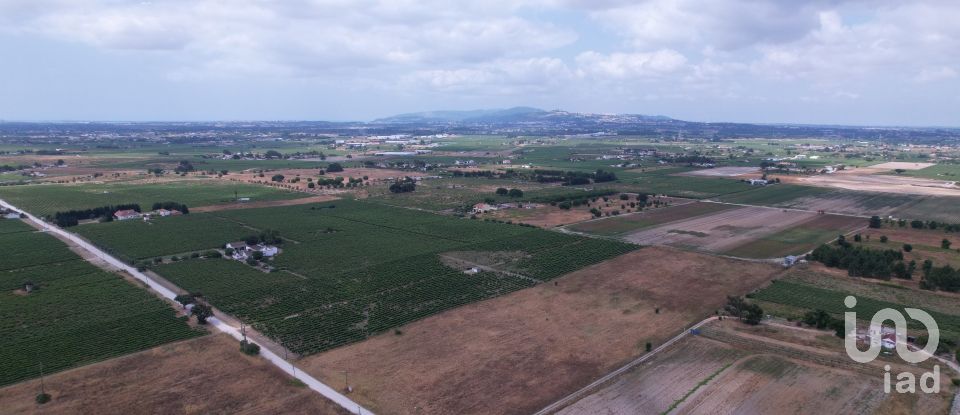 Terreno em Palmela de 30 000 m²