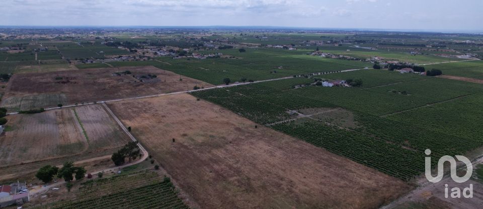 Terreno em Palmela de 30 000 m²