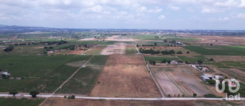 Terreno em Palmela de 30 000 m²