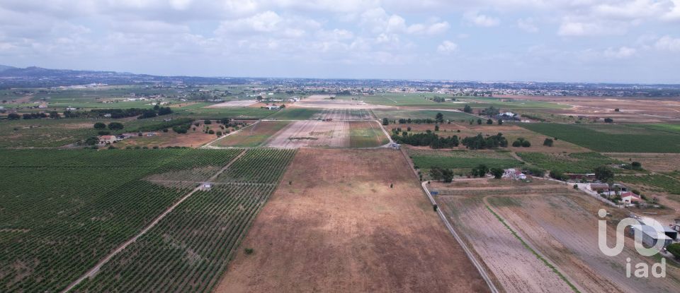 Terreno em Palmela de 30 000 m²