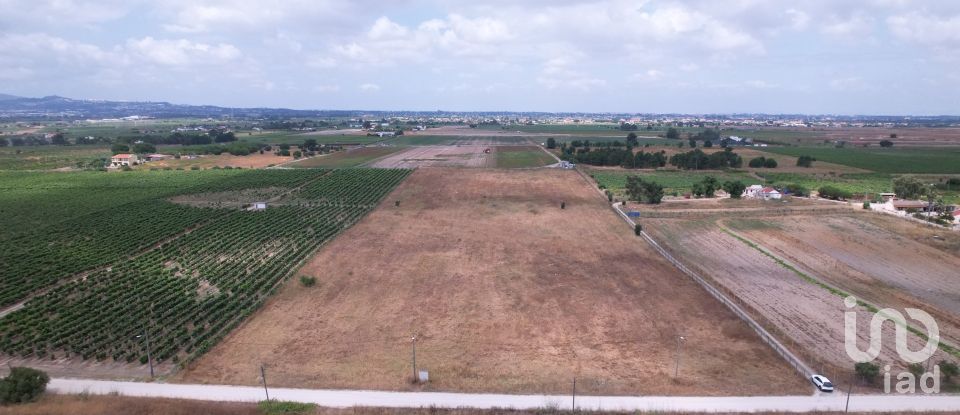 Terreno em Palmela de 30 000 m²