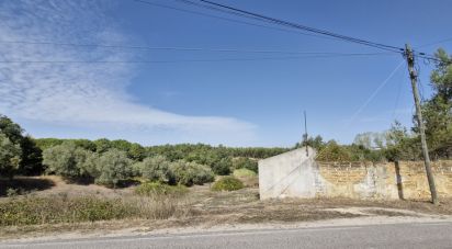 House T2 in Rio Maior of 42 m²