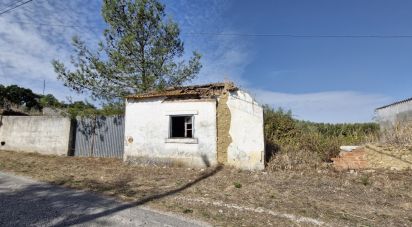 House T2 in Rio Maior of 42 m²